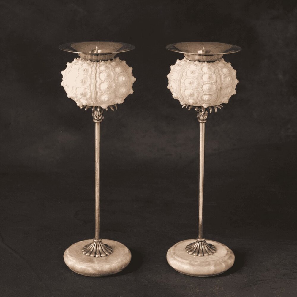 Sea Urchin Shell Candle Holder